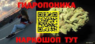 бошки Ярославль