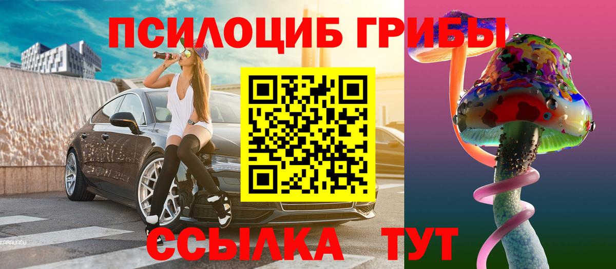 Галлюциногенные грибы MAGIC MUSHROOMS  Вход с VPN  Баксан 