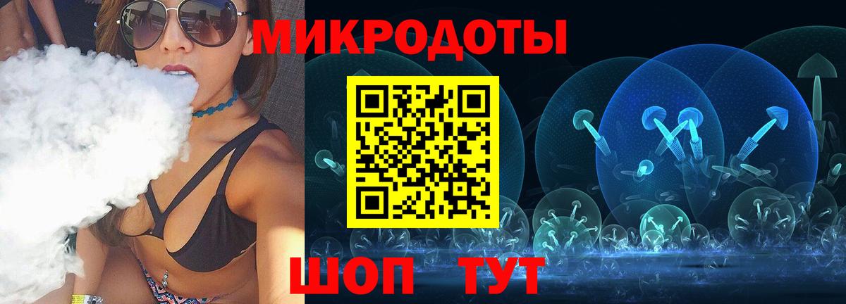 Псилоцибиновые грибы Psilocybine cubensis Баксан